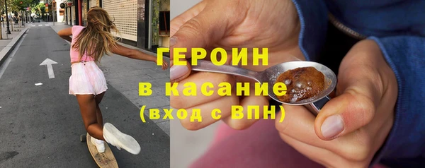 сатива Новокубанск
