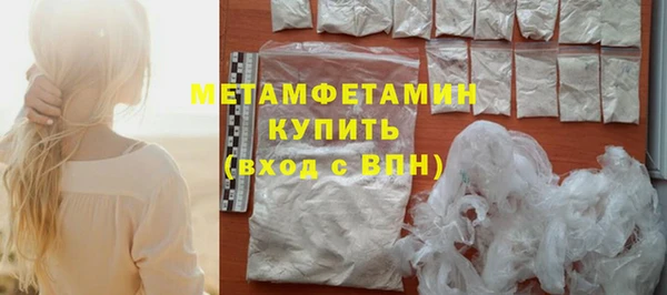 сатива Новокубанск