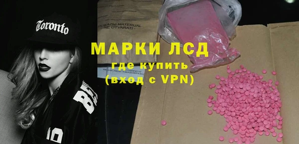 сатива Новокубанск