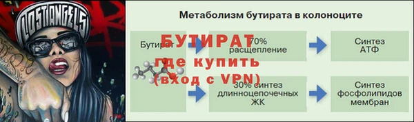 трава Новозыбков