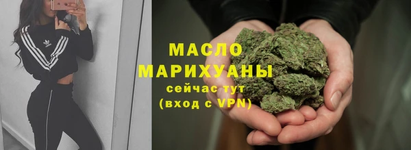 сатива Новокубанск