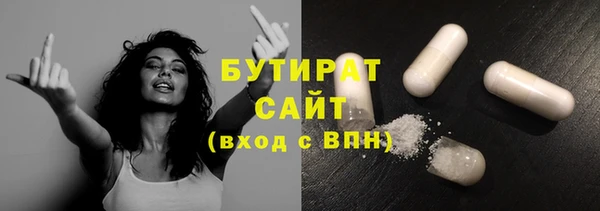 сатива Новокубанск