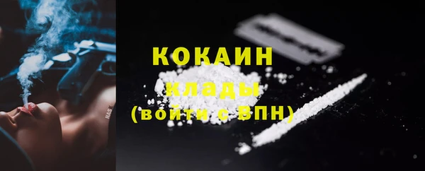 сатива Новокубанск