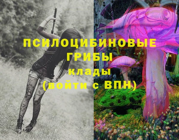 трава Новозыбков