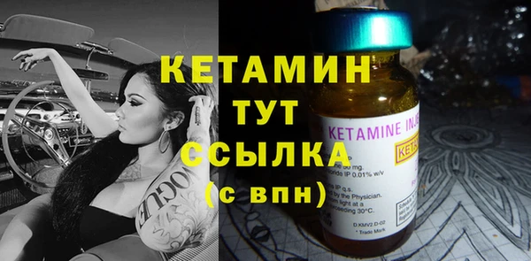 сатива Новокубанск
